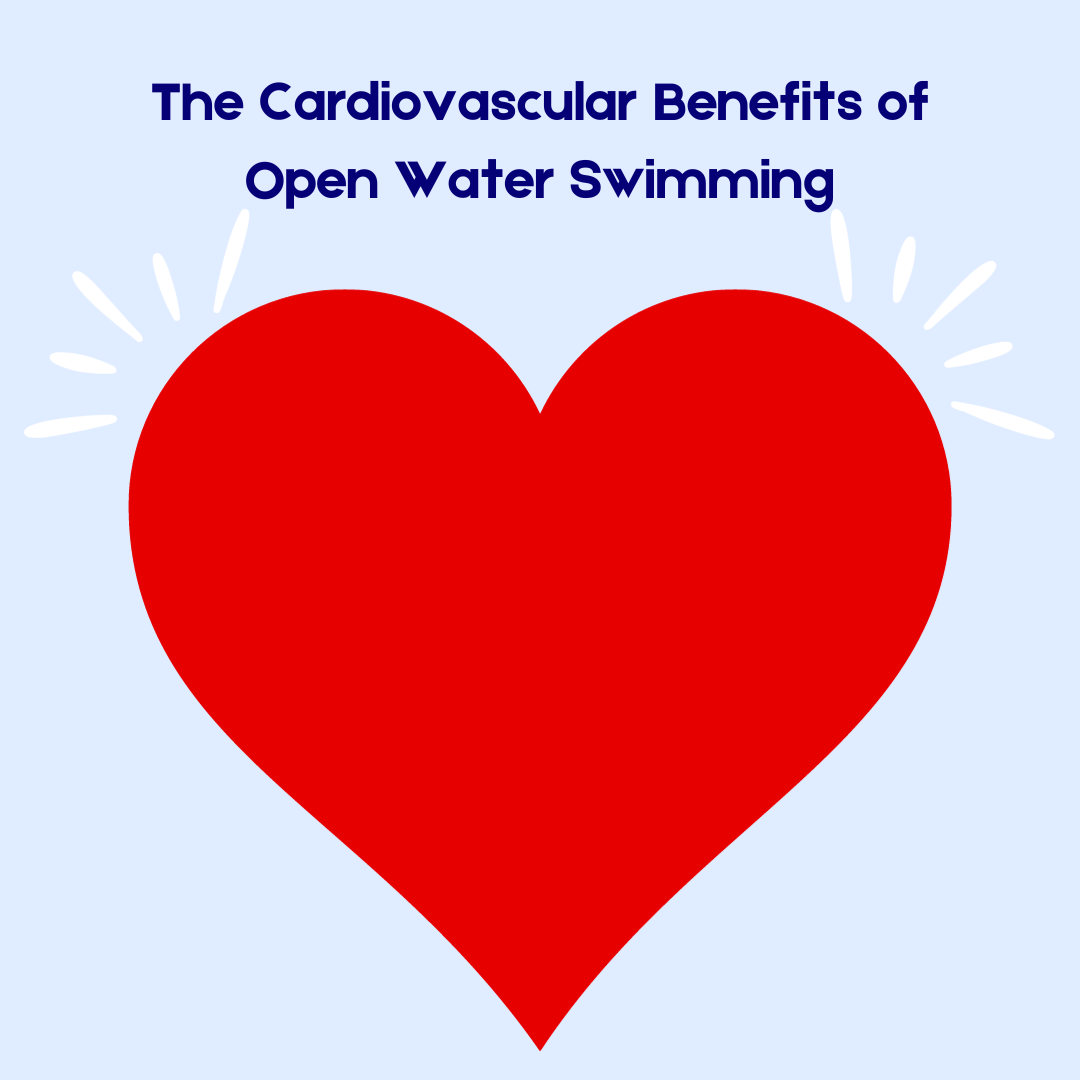 The Cardiovascular Benefits Of Open Water Swimming Outdoor Swimming the-cardiovascular-benefits-of-open-water-swimming-outdoor-swimming